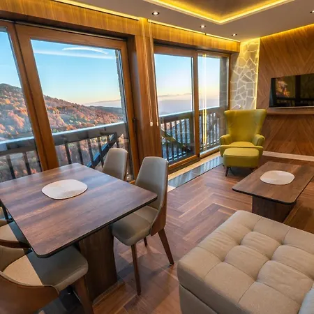 Vista47 Zoned Ii 科帕奥尼克