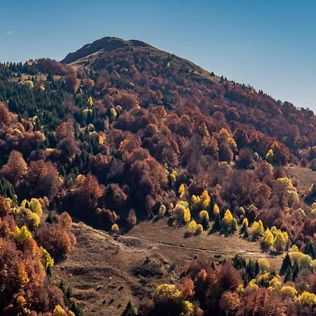 Vista47 Zoned Ii 公寓 科帕奥尼克