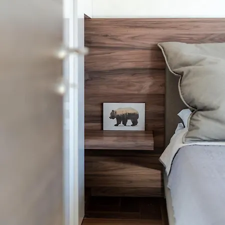 Vista47 Zoned Ii 科帕奥尼克