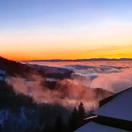 Vista47 Zoned Ii Apartment